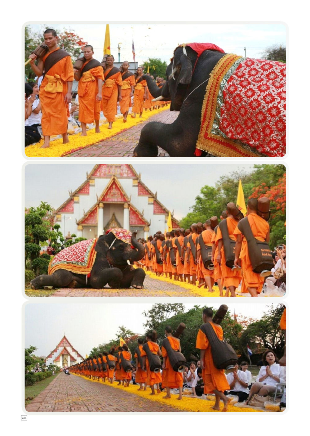 null Dhamma TIME เดือนพฤษภาคม พ.ศ.2557 หน้า 12
