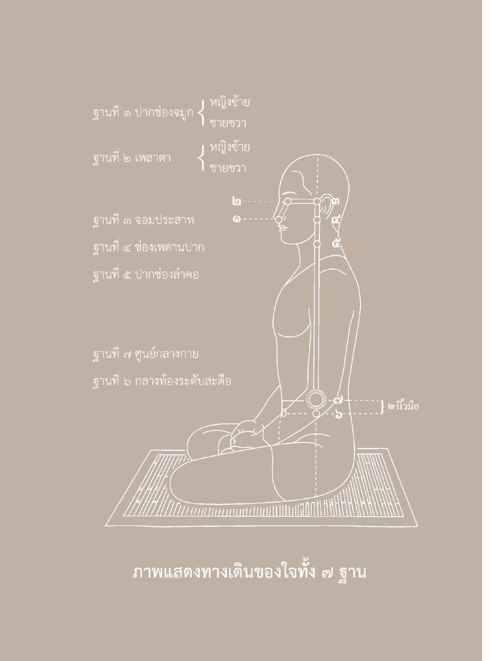 null อยู่กับยาย หน้า 289