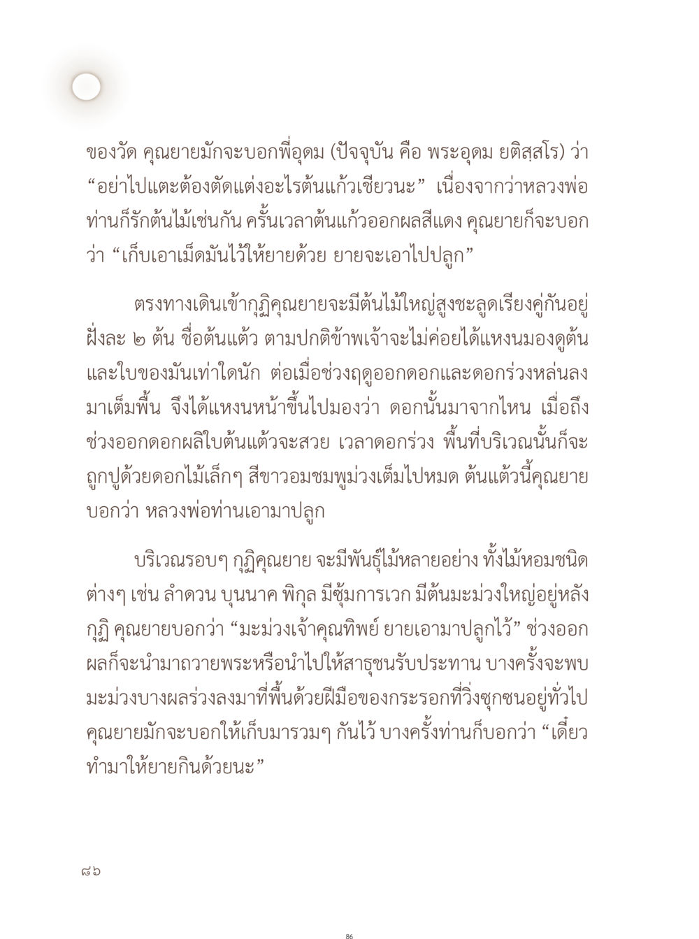 ความรักในต้นไม้ของคุณยายและหลวงพ่อ อยู่กับยาย หน้า 87