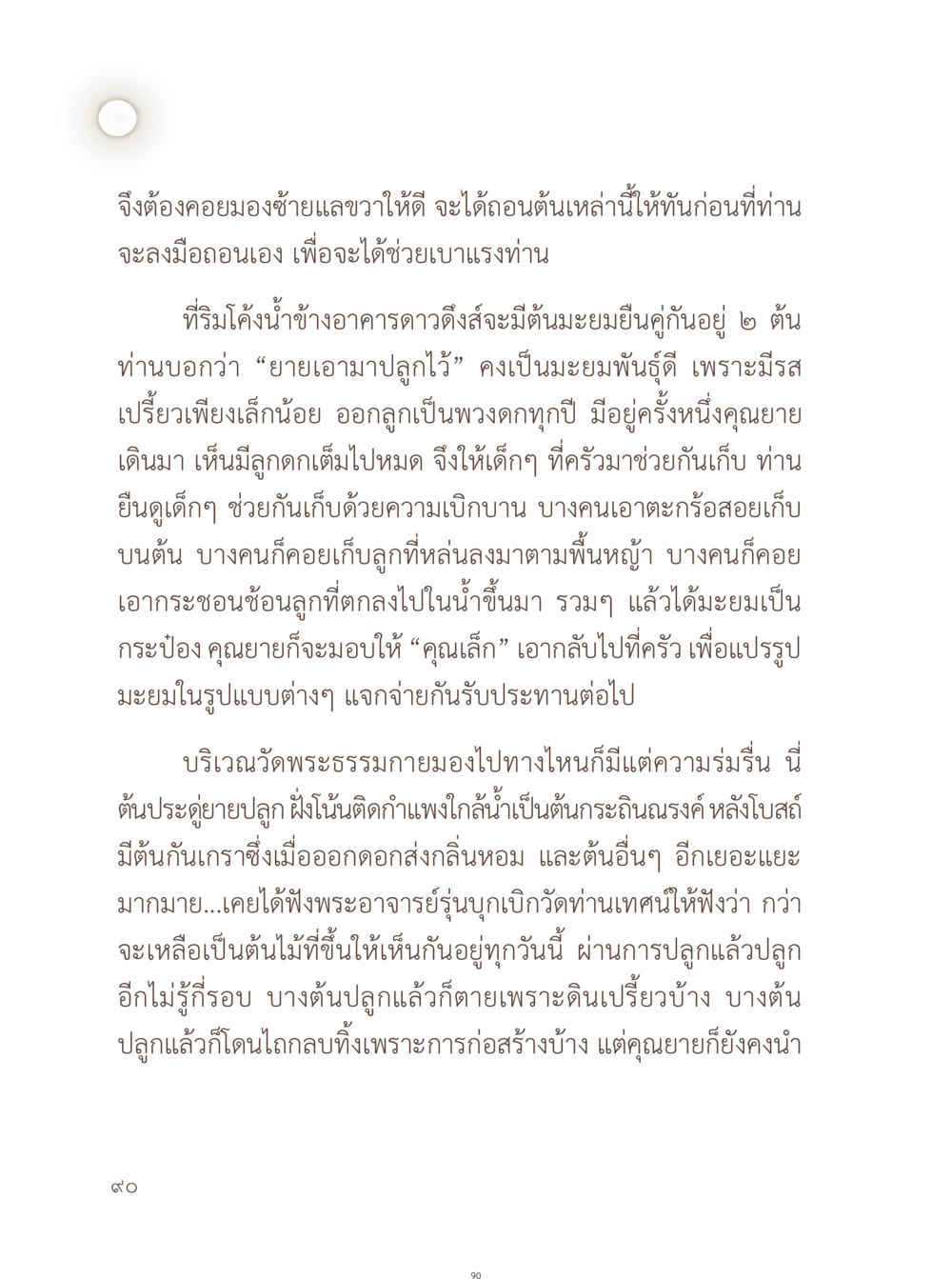 การปลูกมะยมและความร่มรื่นของวัดพระธรรมกาย อยู่กับยาย หน้า 91