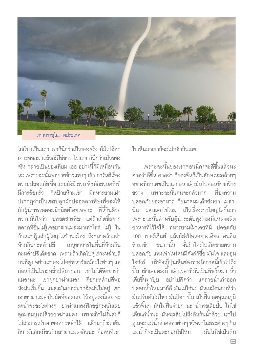 การปลูกผักปลอดสารพิษและความปลอดภัยในเกษตรกรรม Dhamma TIME เดือนมิถุนายน พ.ศ.2557 หน้า 23
