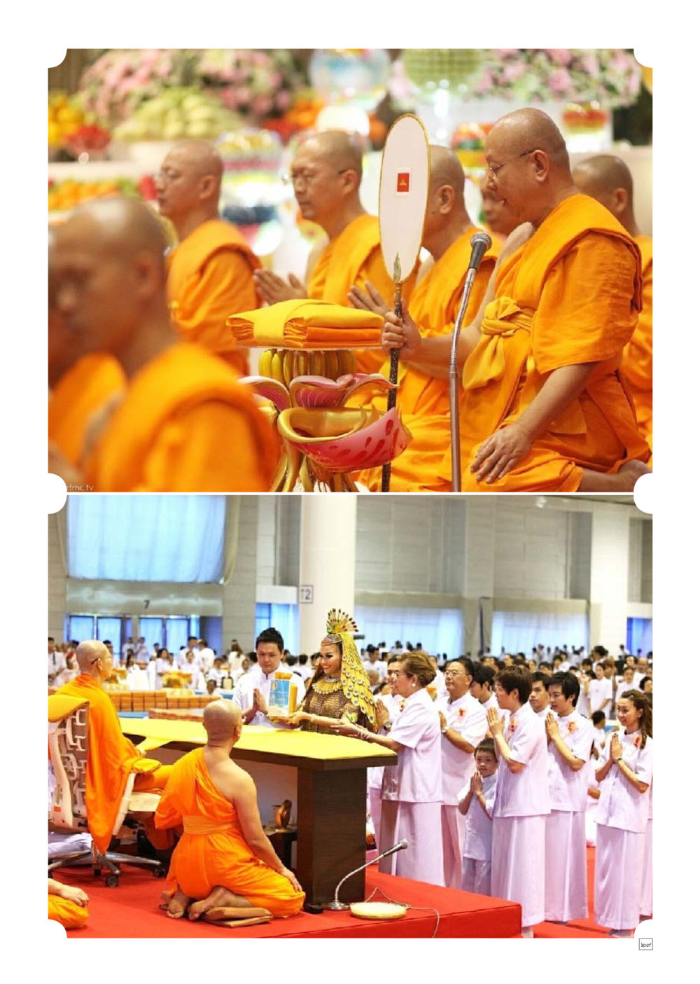 null Dhamma TIME เดือนพฤศจิกายน พ.ศ.2557 หน้า 29