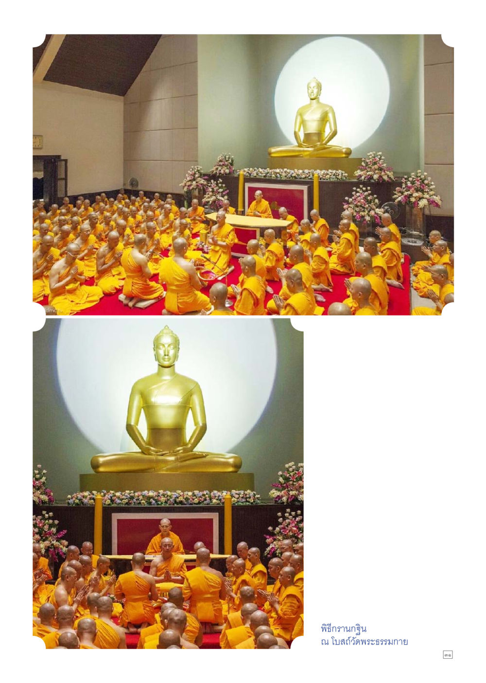 null Dhamma TIME เดือนพฤศจิกายน พ.ศ.2557 หน้า 31