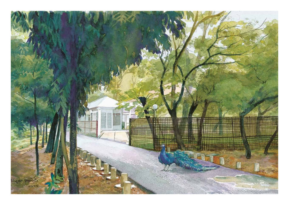 null ยิ่งหยุดยิ่งนิ่ง...ยิ่งดิ่งไม่หยุด เล่ม1 หน้า 25