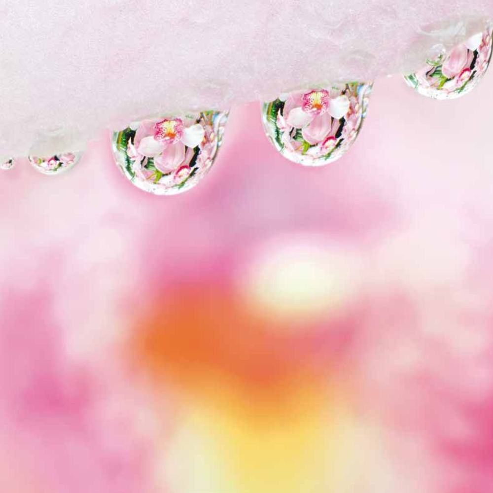 null Luang Por Dhammajayo, BEYOND WISDOM หน้า 138