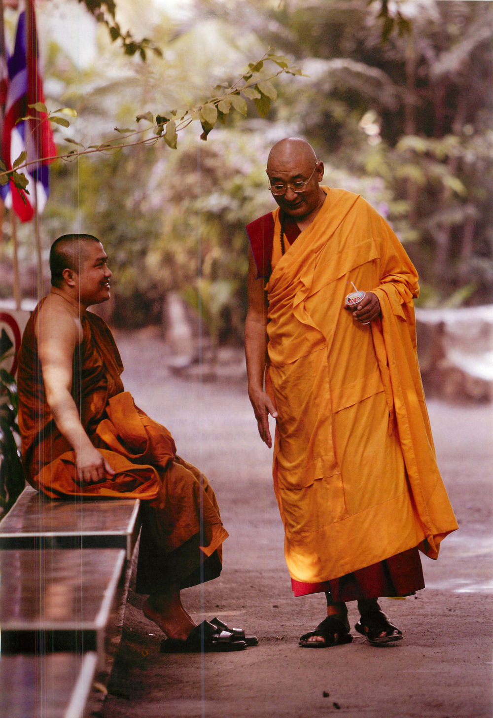 null We are one (World Buddhist Sangha Youth) หน้า 10
