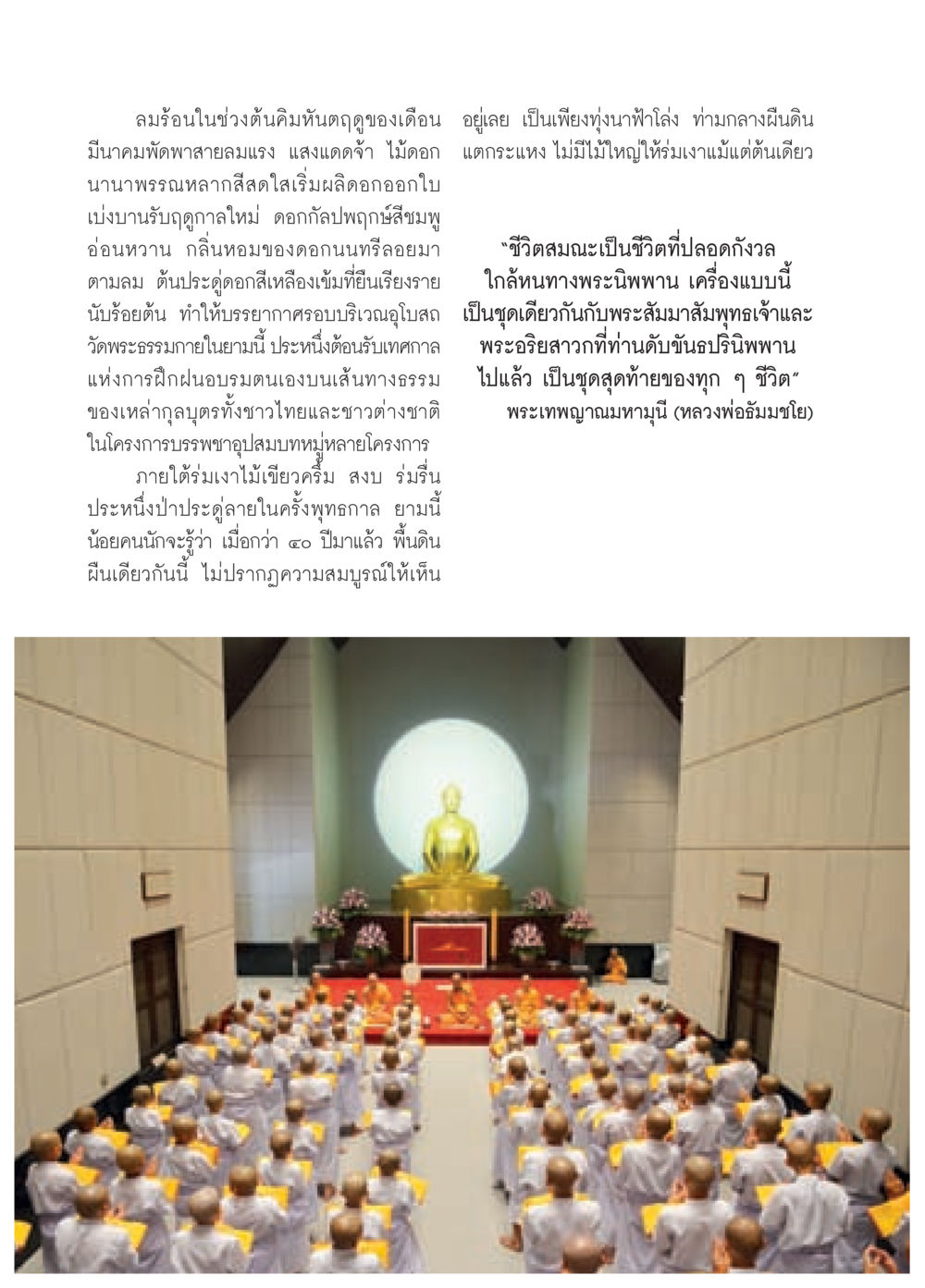 การเติบโตของธรรมชาติและความสงบในชีวิตสมณะ วารสารอยู่ในบุญประจำเดือน พฤษภาคม พ.ศ.2558 หน้า 66