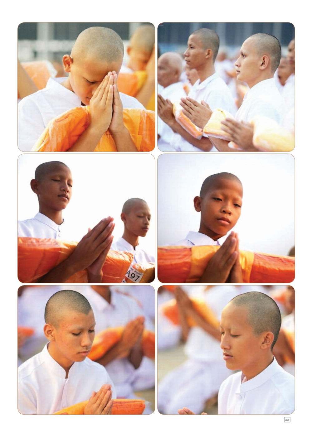 null Dhamma TIME เดือนเมษายน พ.ศ.2558 หน้า 13
