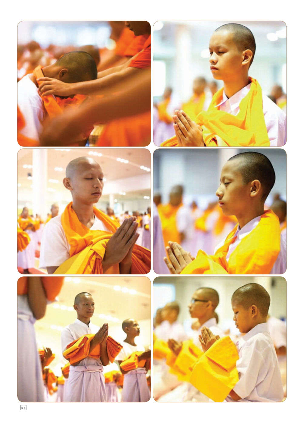 null Dhamma TIME เดือนเมษายน พ.ศ.2558 หน้า 20