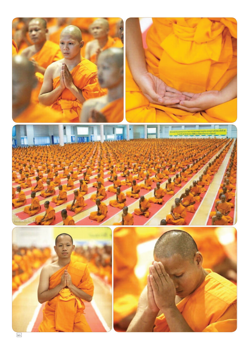 null Dhamma TIME เดือนเมษายน พ.ศ.2558 หน้า 26