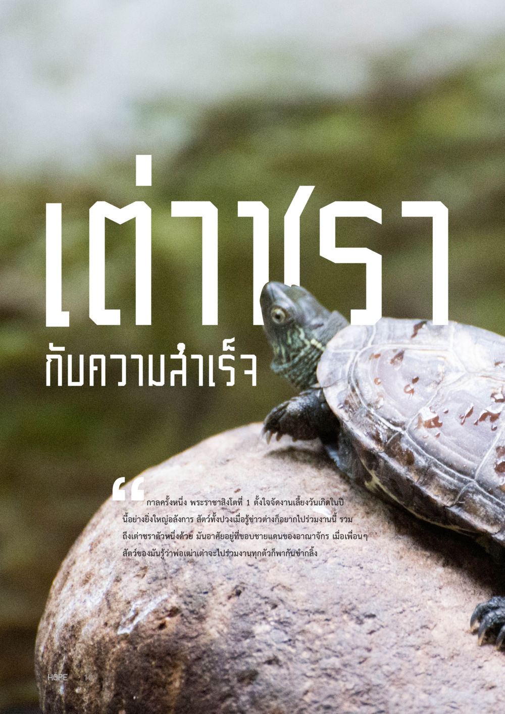 null HOPE MAGAZINE VOL 6 หน้า 10