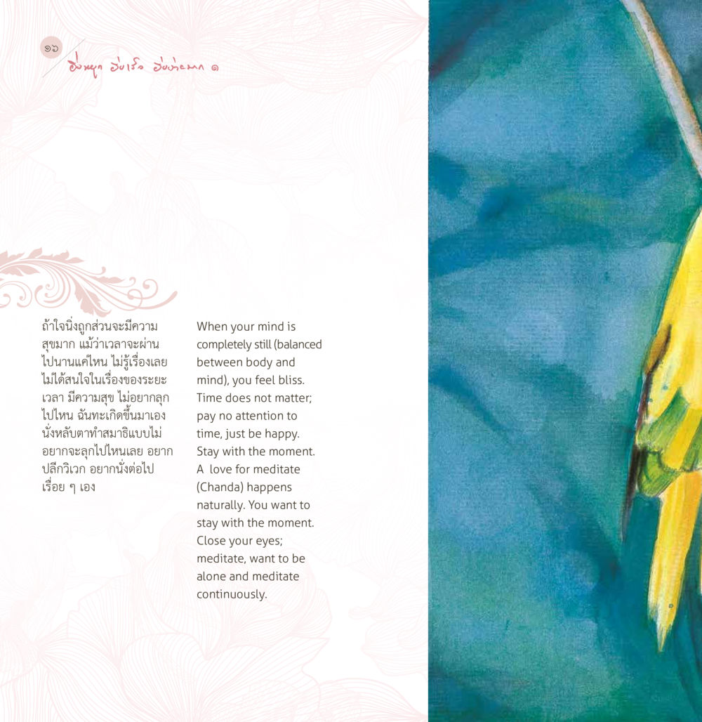 Meditation and Finding Inner Bliss ยิ่งหยุด...ยิ่งเร็ว...ยิ่งง่ายมาก เล่ม 1 หน้า 18