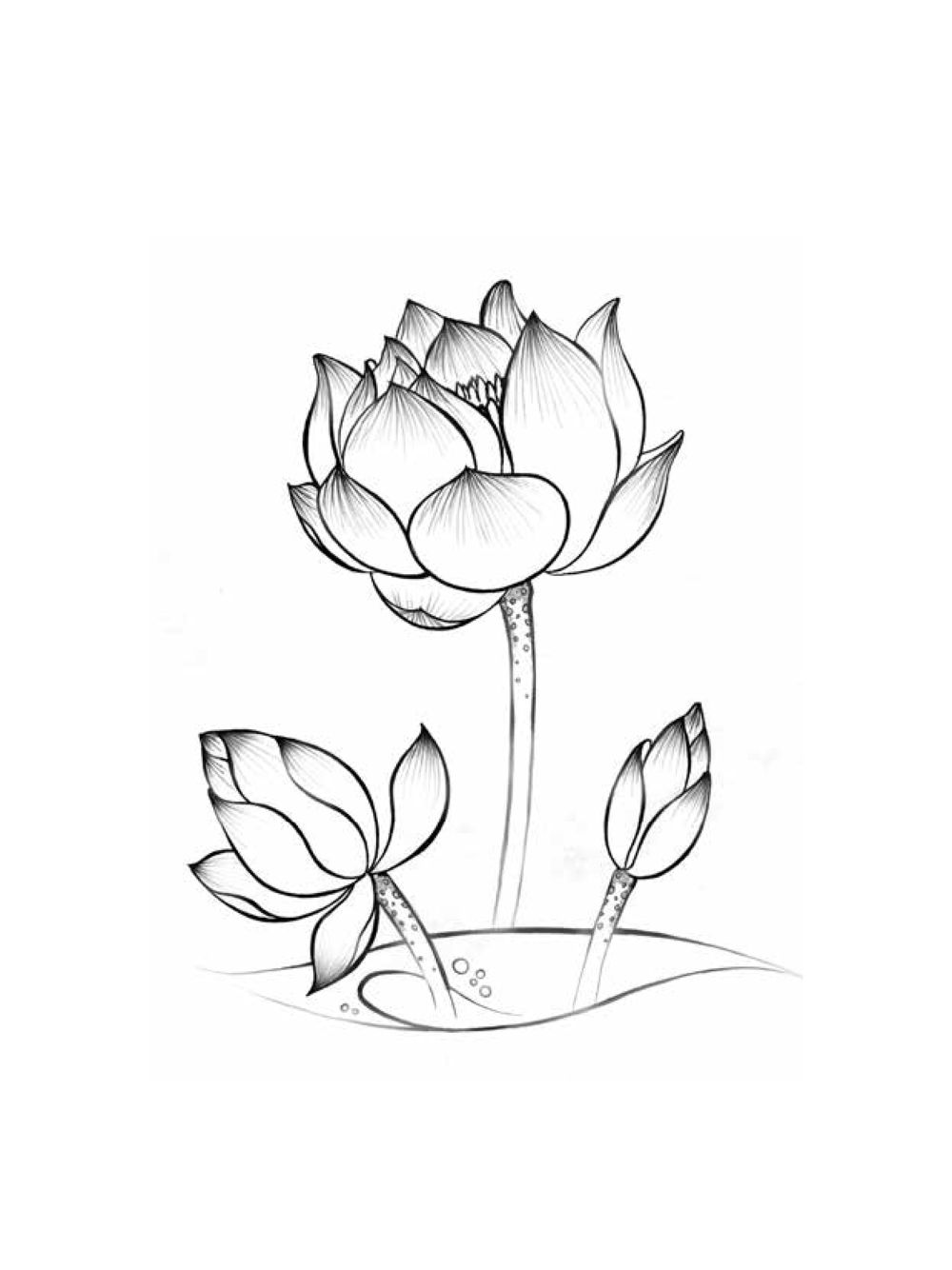 null คำไม่เล็กของคุณครูไม่ใหญ่ (มินิ) เล่ม 4 (สมาธิ...ลมหายใจของชีวิต) หน้า 224