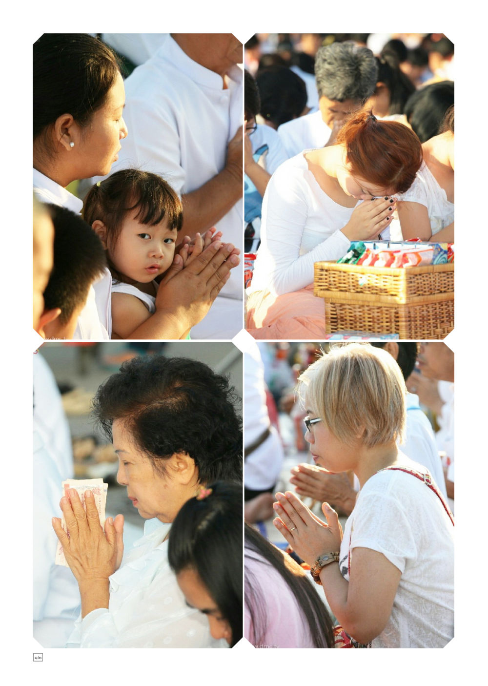 null Dhamma TIME เดือนพฤศจิกายน พ.ศ.2558 หน้า 12