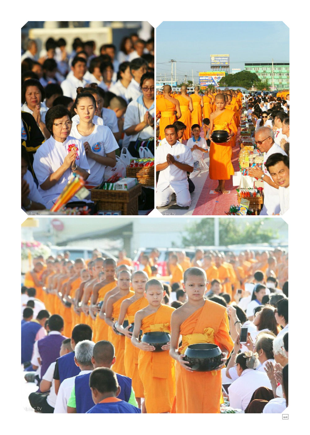 null Dhamma TIME เดือนพฤศจิกายน พ.ศ.2558 หน้า 13
