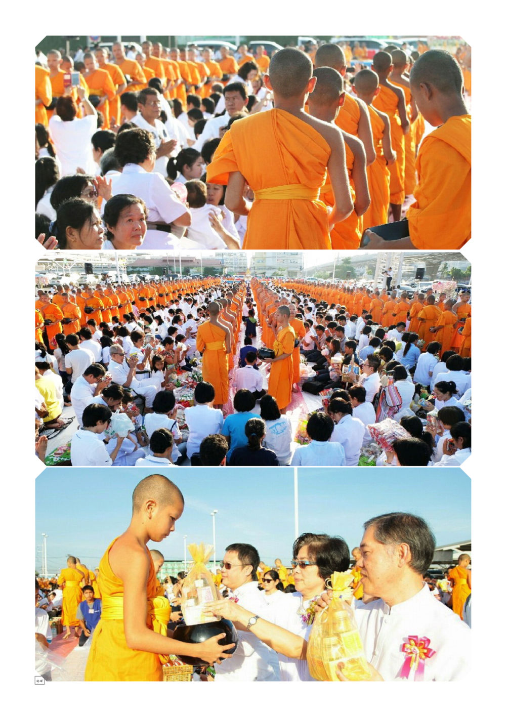 null Dhamma TIME เดือนพฤศจิกายน พ.ศ.2558 หน้า 14