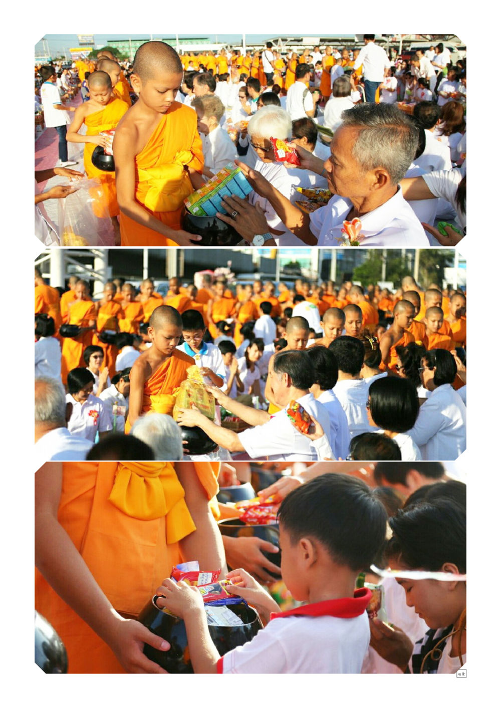 null Dhamma TIME เดือนพฤศจิกายน พ.ศ.2558 หน้า 15