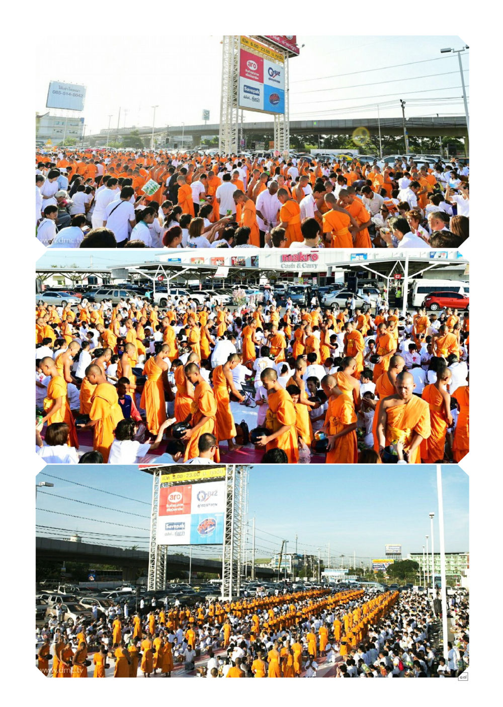 null Dhamma TIME เดือนพฤศจิกายน พ.ศ.2558 หน้า 17