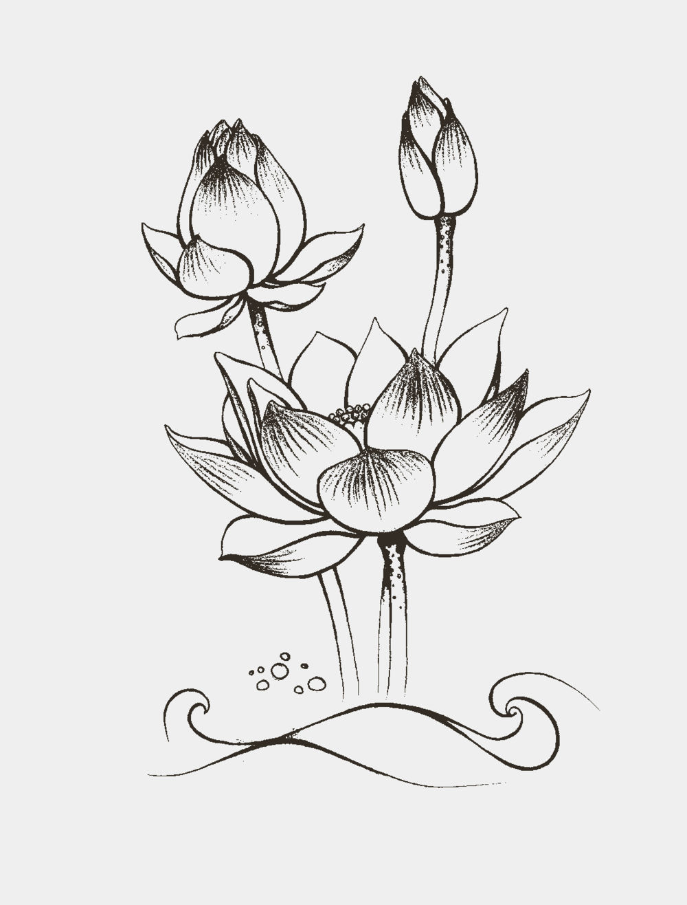 null ภิกฺขุปาฏิโมกฺขปาลิ (ฉบับท่องจำ) หน้า 161