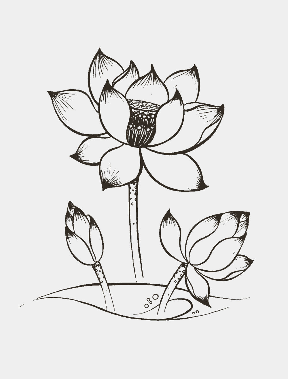 null ภิกฺขุปาฏิโมกฺขปาลิ (ฉบับท่องจำ) หน้า 59