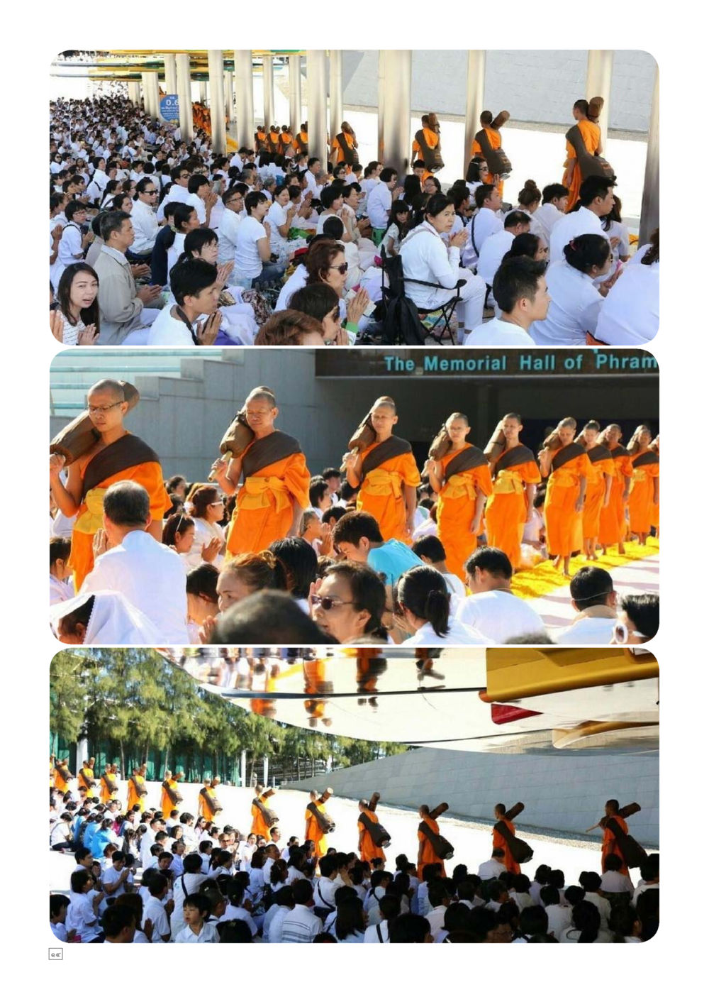 null Dhamma TIME เดือนมกราคม พ.ศ.2559 หน้า 14
