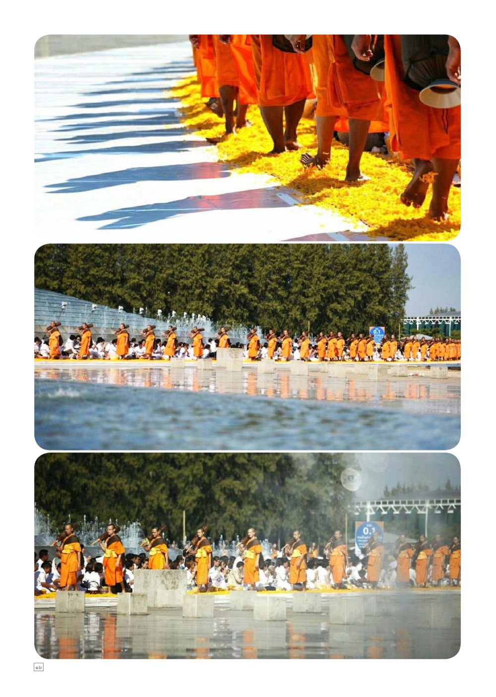 null Dhamma TIME เดือนมกราคม พ.ศ.2559 หน้า 16