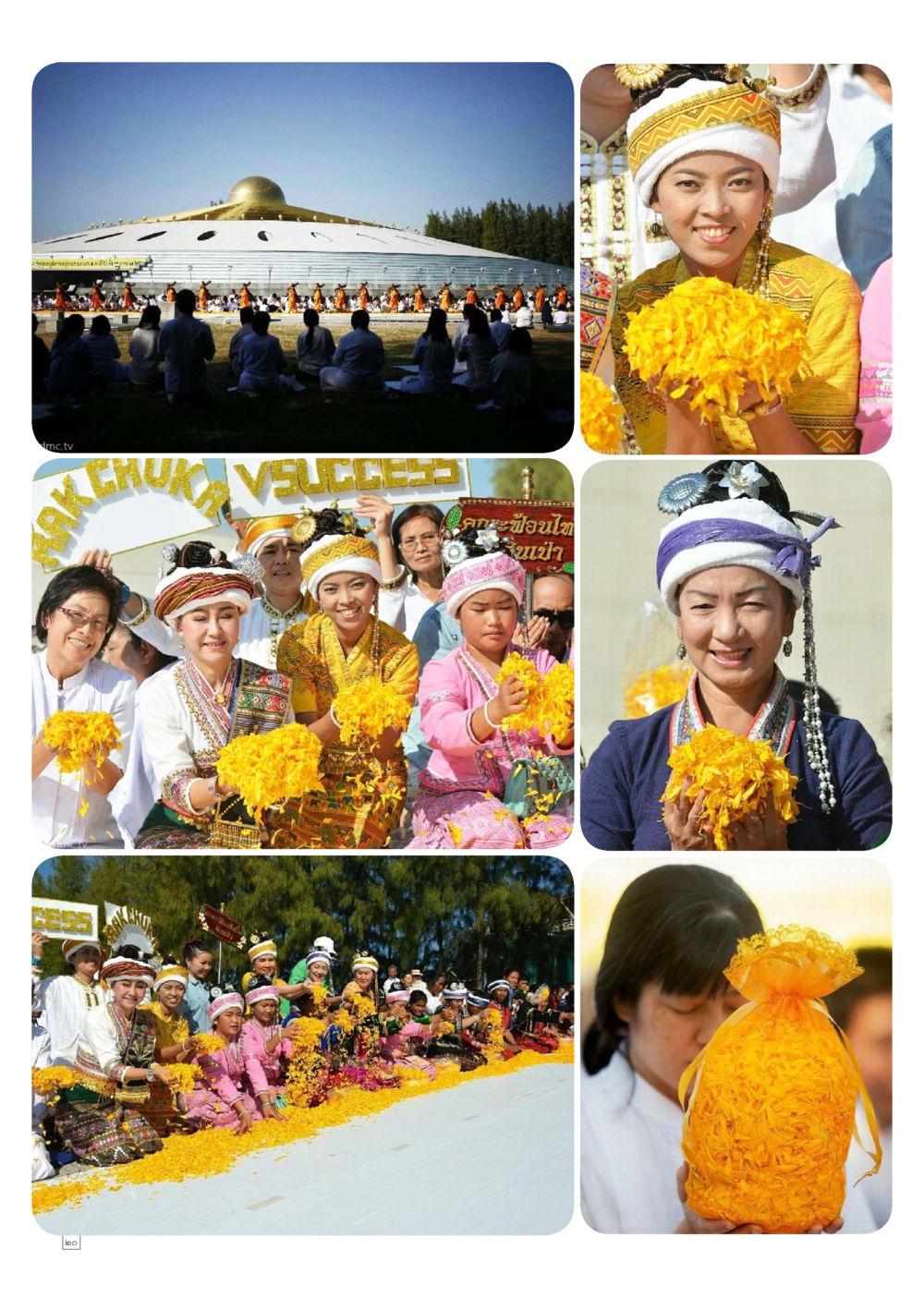 null Dhamma TIME เดือนมกราคม พ.ศ.2559 หน้า 20
