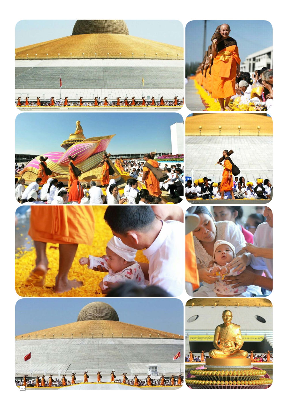 null Dhamma TIME เดือนมกราคม พ.ศ.2559 หน้า 30