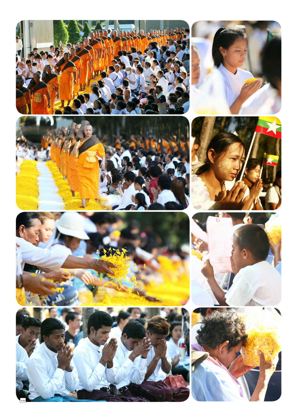 null Dhamma TIME เดือนมกราคม พ.ศ.2559 หน้า 32