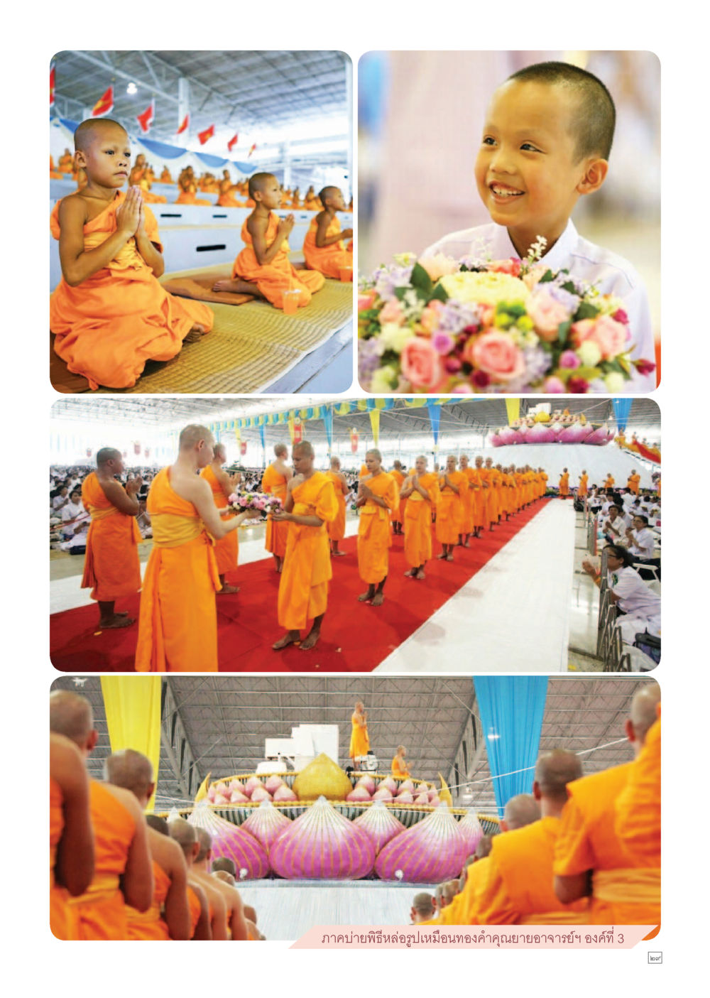 null Dhamma TIME เดือนพฤษภาคม พ.ศ.2559 หน้า 29