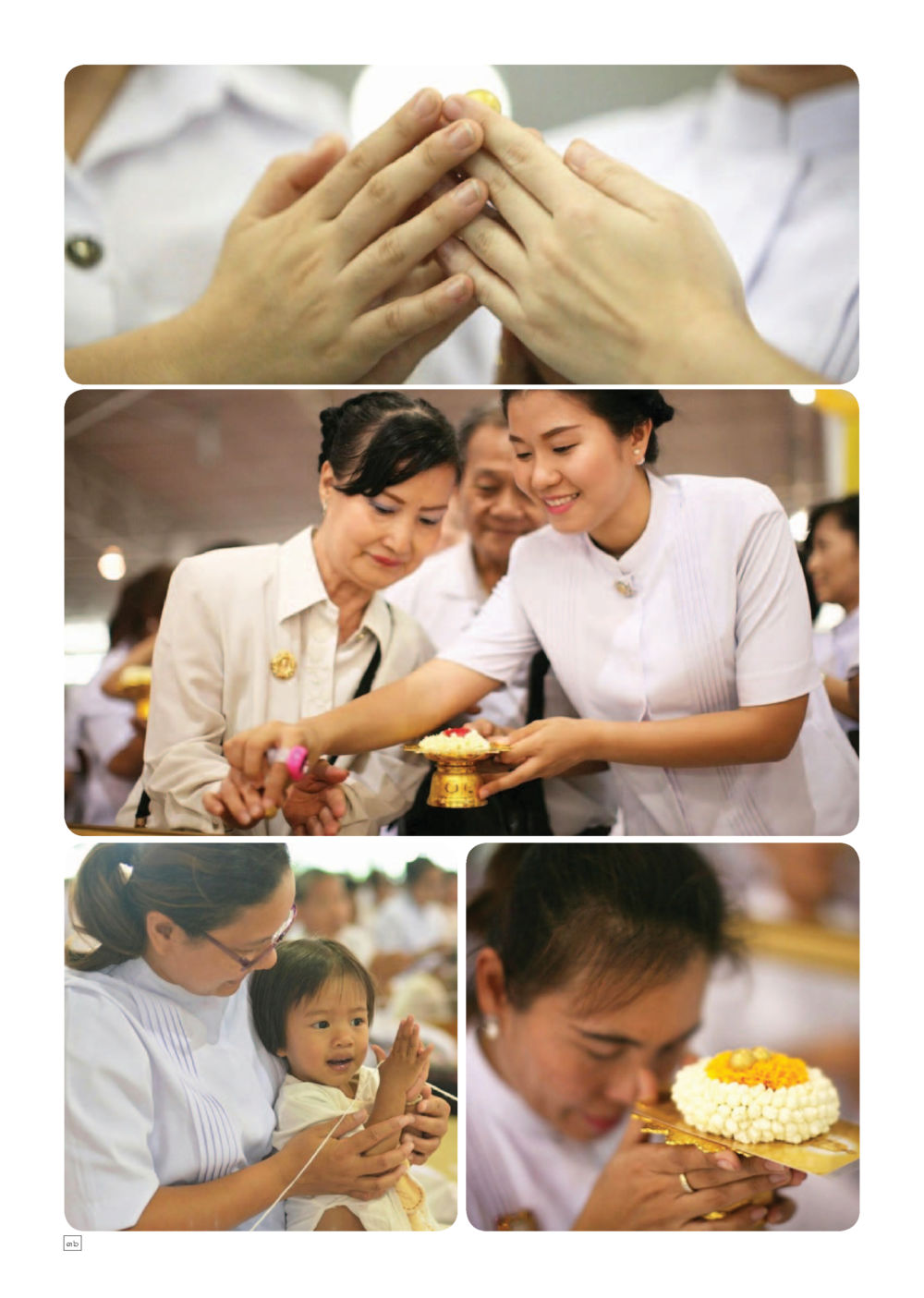 null Dhamma TIME เดือนพฤษภาคม พ.ศ.2559 หน้า 36