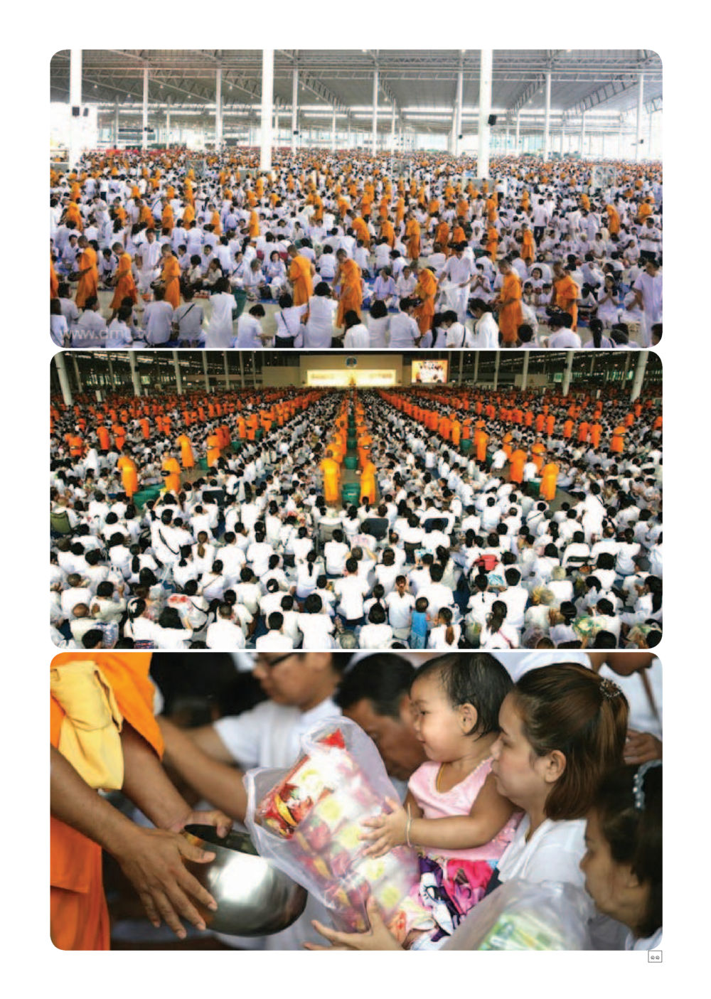 null Dhamma TIME เดือนพฤศจิกายน พ.ศ.2559 หน้า 11