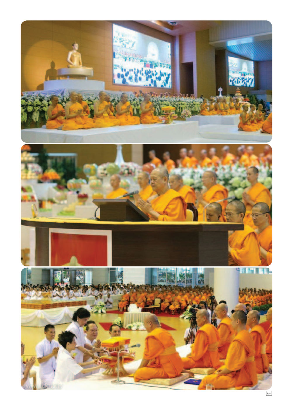 null Dhamma TIME เดือนพฤศจิกายน พ.ศ.2559 หน้า 23