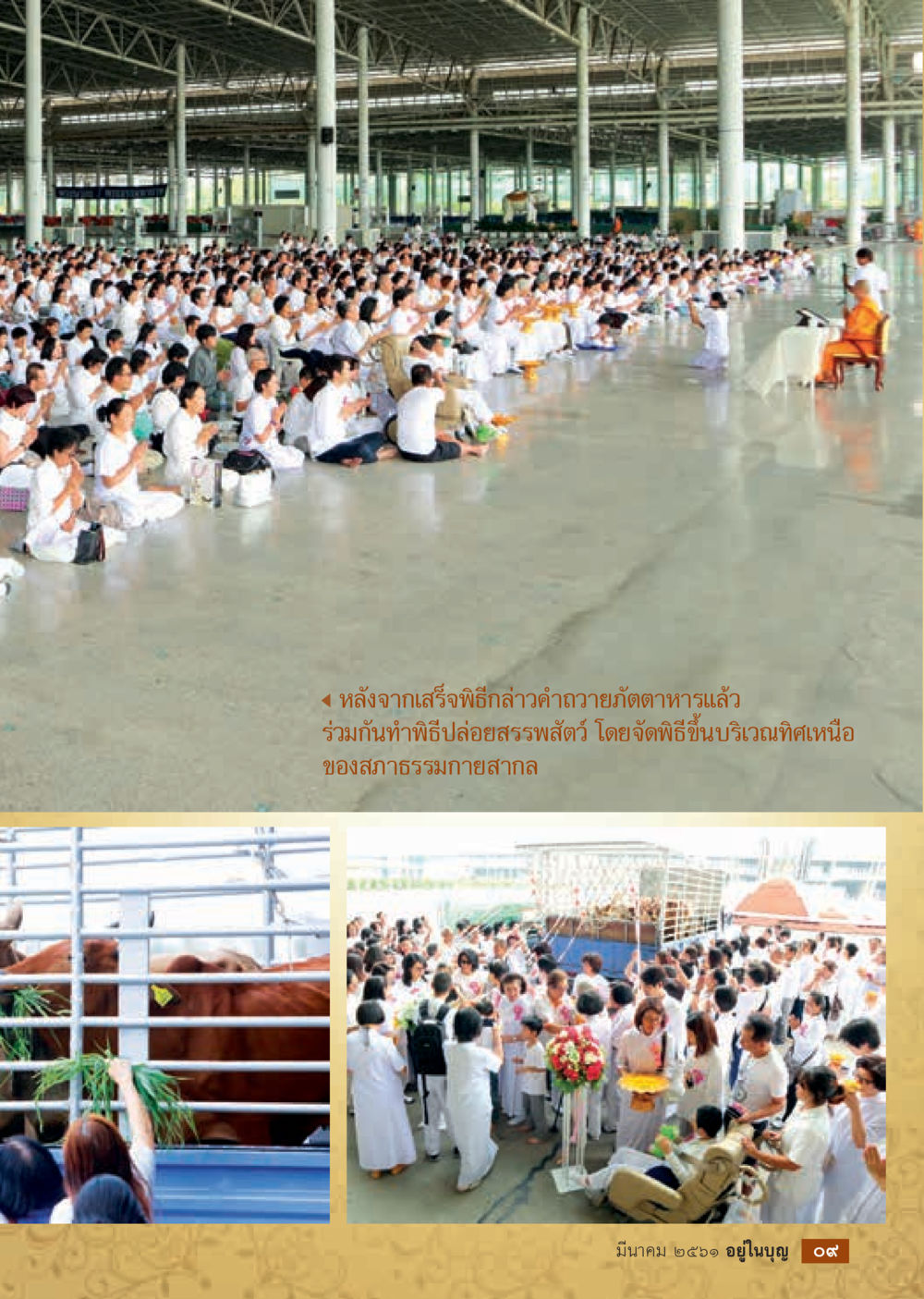 null  วารสารอยู่ในบุญประจำเดือน มีนาคม พ.ศ.2561 หน้า 11