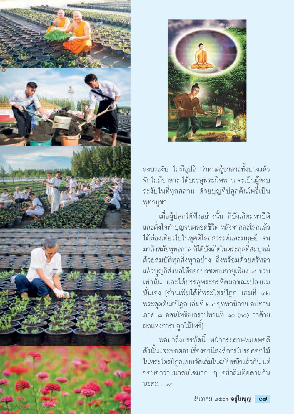 ผลแห่งการปลูกไม้โพธิ์  วารสารอยู่ในบุญประจำเดือน ธันวาคม พ.ศ.2561 หน้า 9