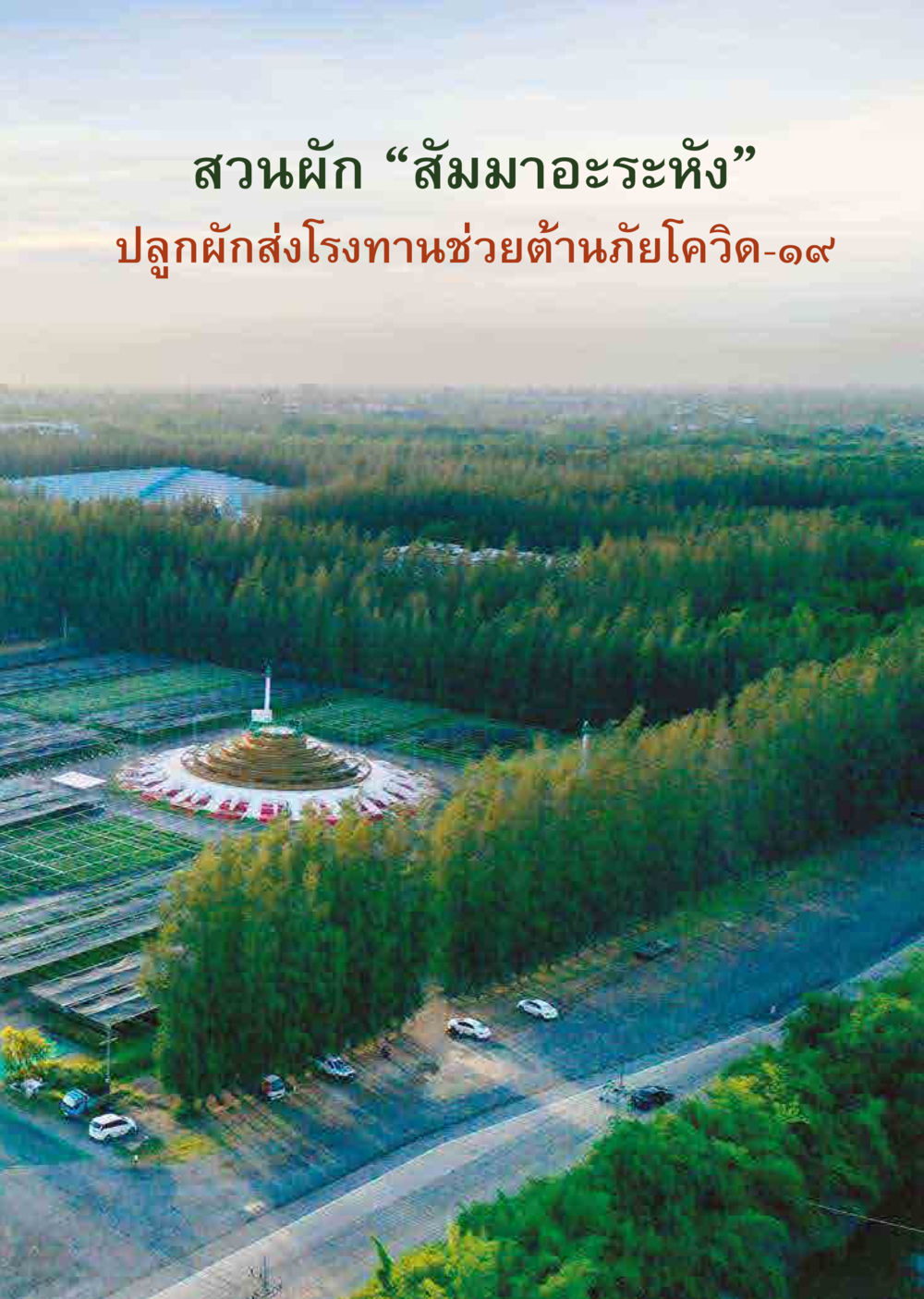 null  วารสารอยู่ในบุญประจำเดือน มิถุนายน พ.ศ.2563 หน้า 19
