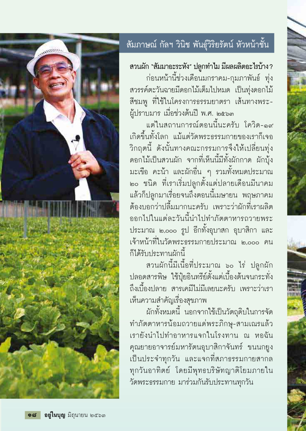 สวนผัก “สัมมาอะระหัง” และการผลิตผักปลอดสารพิษ  วารสารอยู่ในบุญประจำเดือน มิถุนายน พ.ศ.2563 หน้า 20