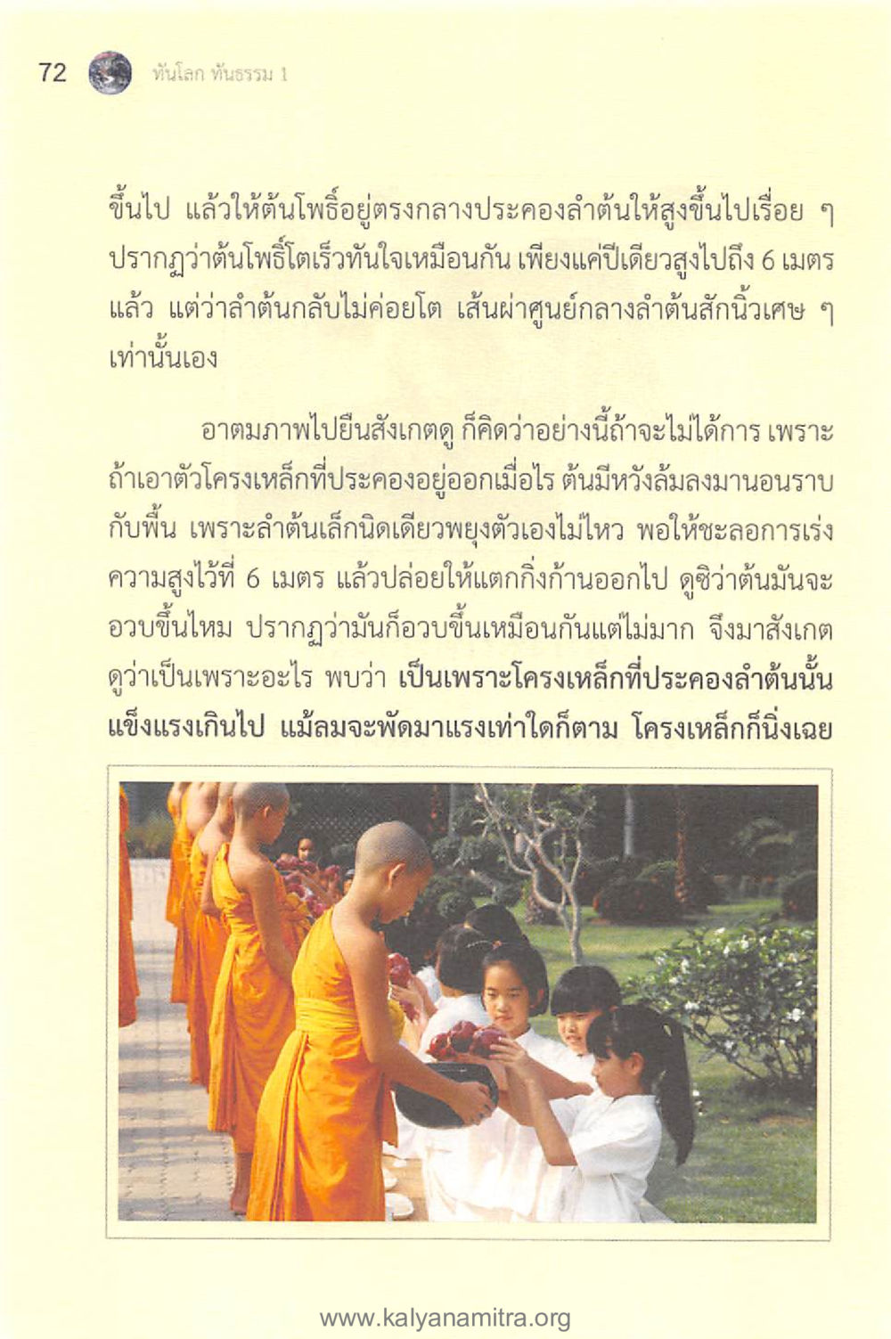 การเจริญเติบโตของต้นโพรึ่ ทันโลกทันธรรม 1 หน้า 72