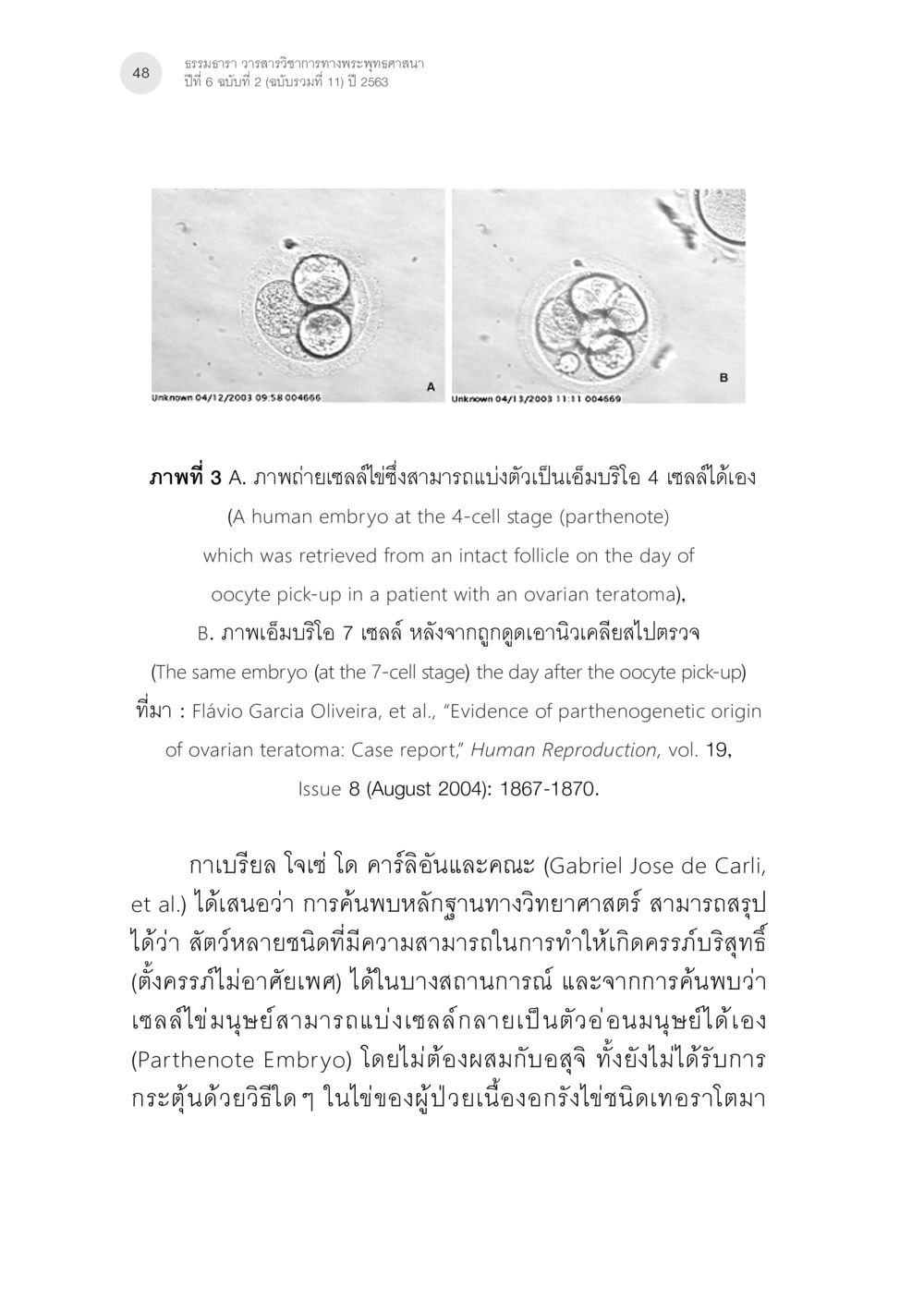 การพัฒนาของเอ็มบริโอในมนุษย์ การตั้งครรภ์บริสุทธิ์ (ตั้งครรภ์แบบบไม่อาศัยเพศ) ในพระพุทธศาสนาและวิทยาศาสตร์ หน้า 20
