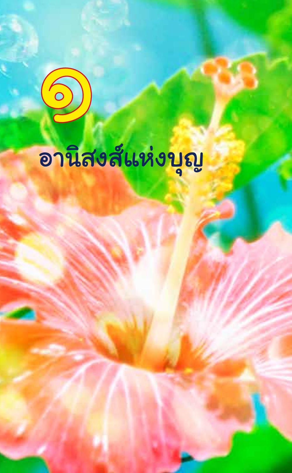 null ที่นี่มีคำตอบ เล่ม 6 หน้า 16