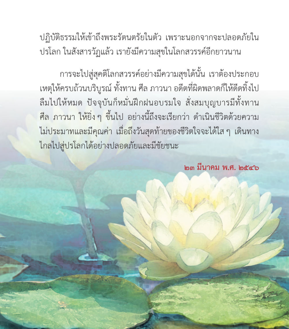 การปฏิบัติธรรมเพื่อความสุขและความปลอดภัย คำสอนคุณครูไม่ใหญ่ เล่ม 2 หน้า 29
