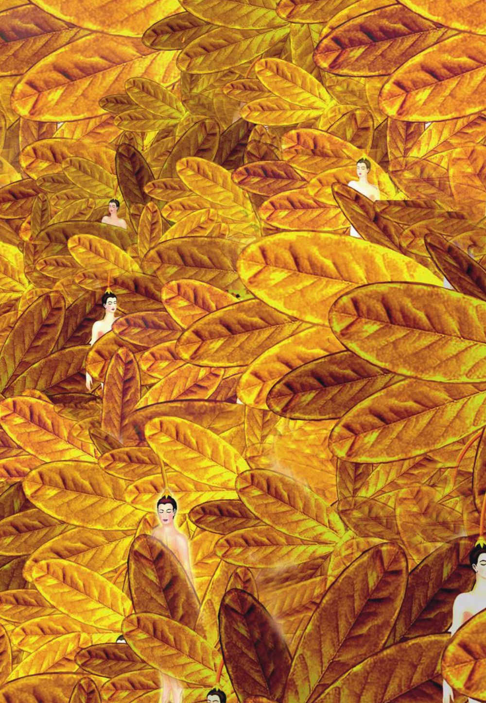 null มักกะลีผล นารีผล หน้า 4