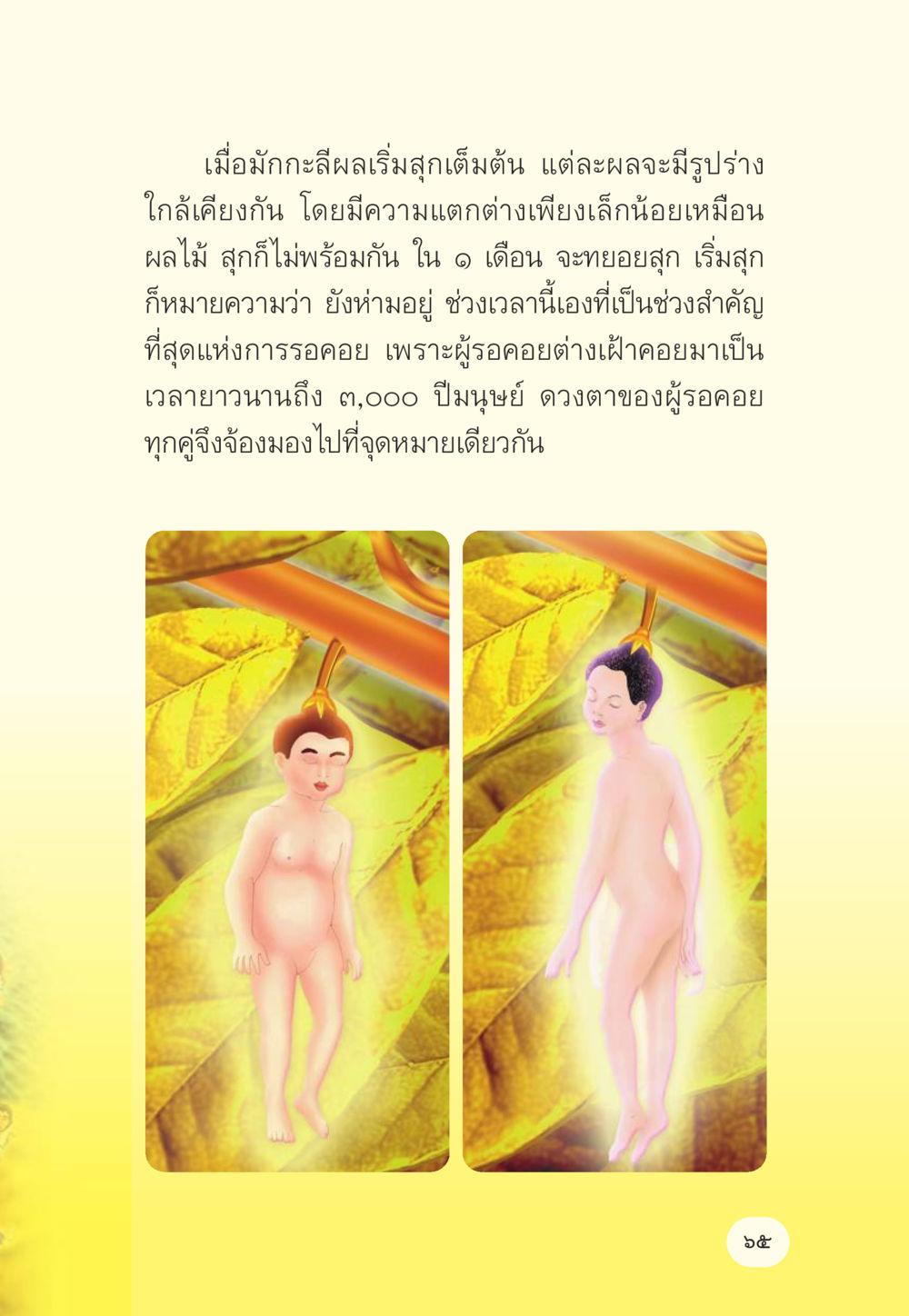 การรอคอยผลมังกรสืบพันธุ์ มักกะลีผล นารีผล หน้า 66