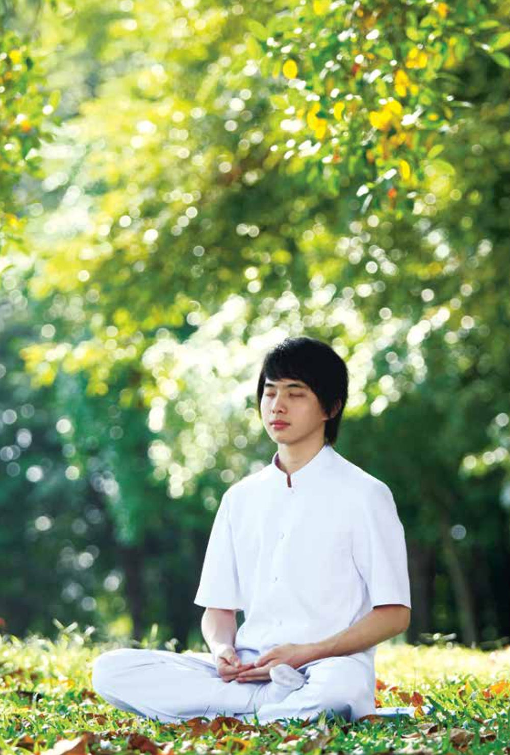 null สิ่งที่ต้องแสวงหา คือ พระรัตนตรัยภายใน เล่ม 2  หน้า 125