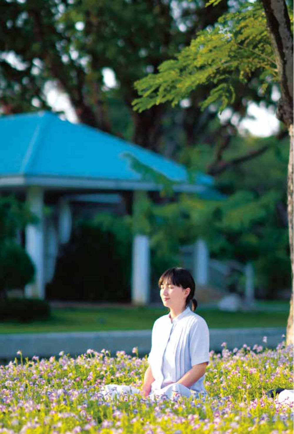 null สิ่งที่ต้องแสวงหา คือ พระรัตนตรัยภายใน เล่ม 2  หน้า 141
