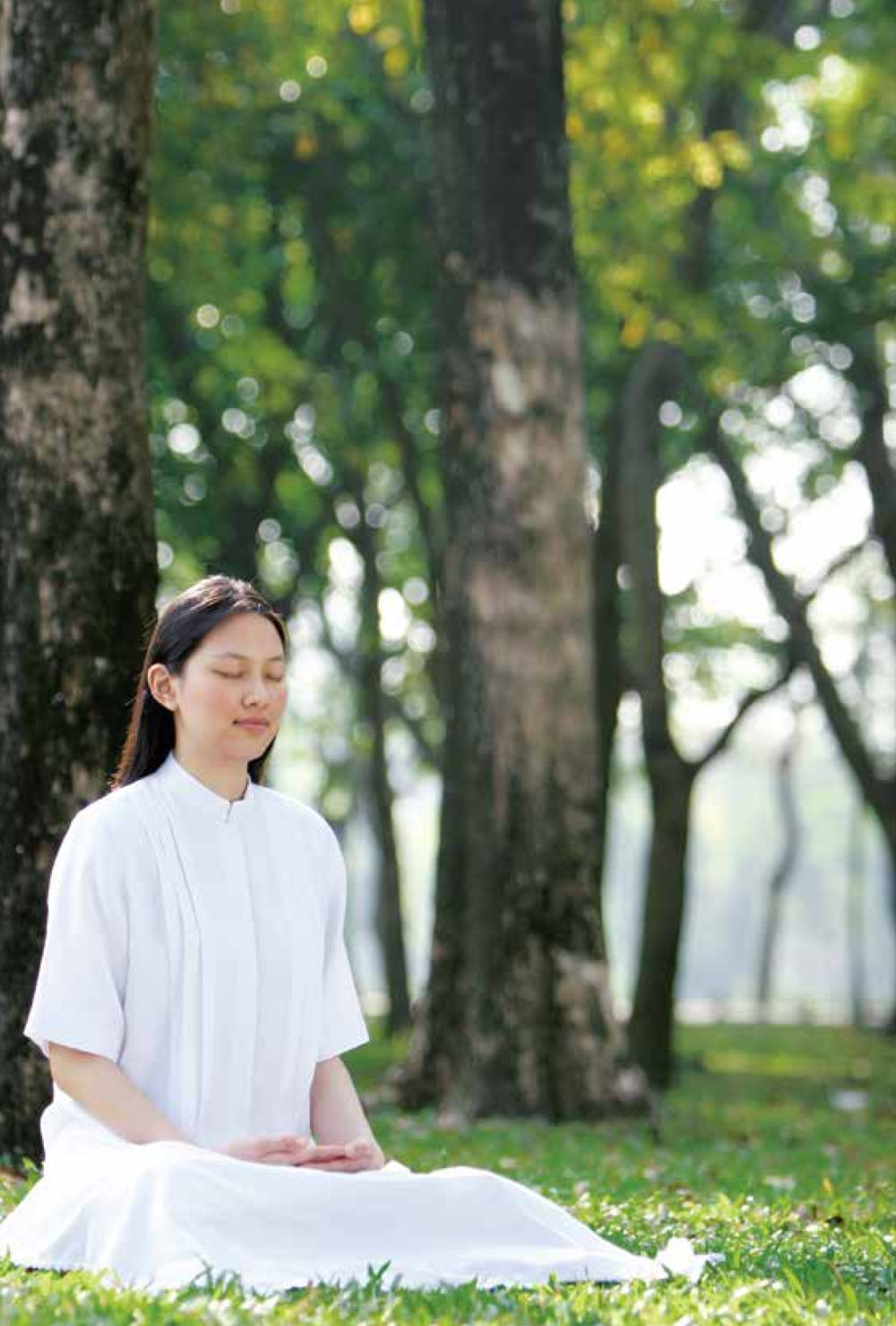 null สิ่งที่ต้องแสวงหา คือ พระรัตนตรัยภายใน เล่ม 2  หน้า 171