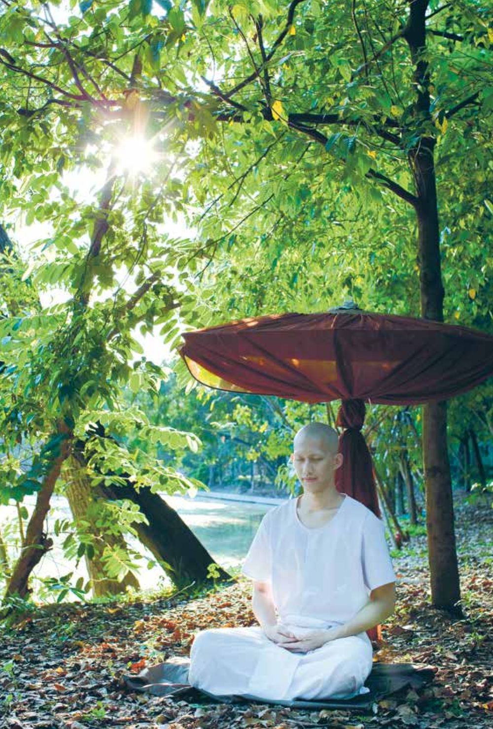 null สิ่งที่ต้องแสวงหา คือ พระรัตนตรัยภายใน เล่ม 2  หน้า 213