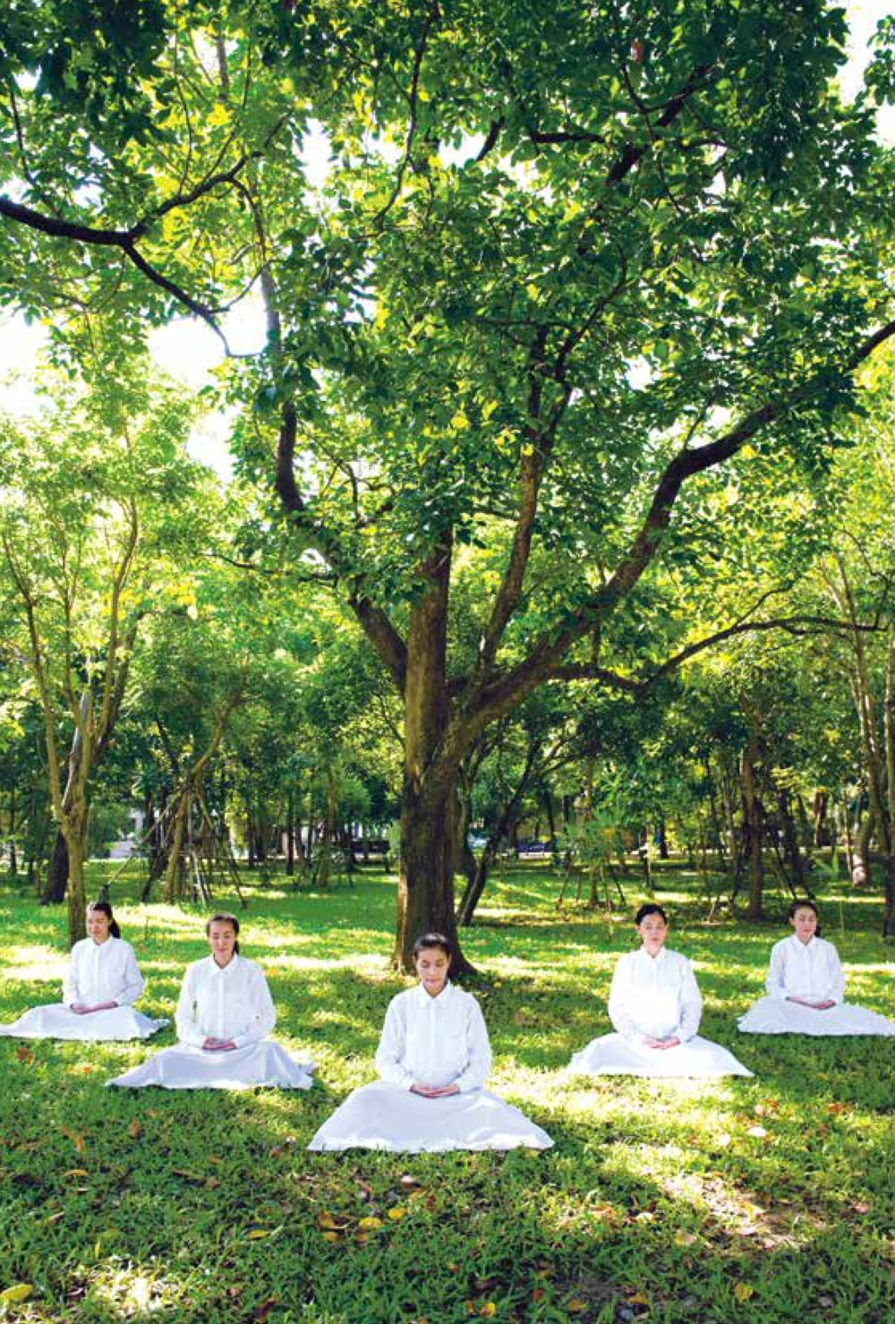 null สิ่งที่ต้องแสวงหา คือ พระรัตนตรัยภายใน เล่ม 2  หน้า 217