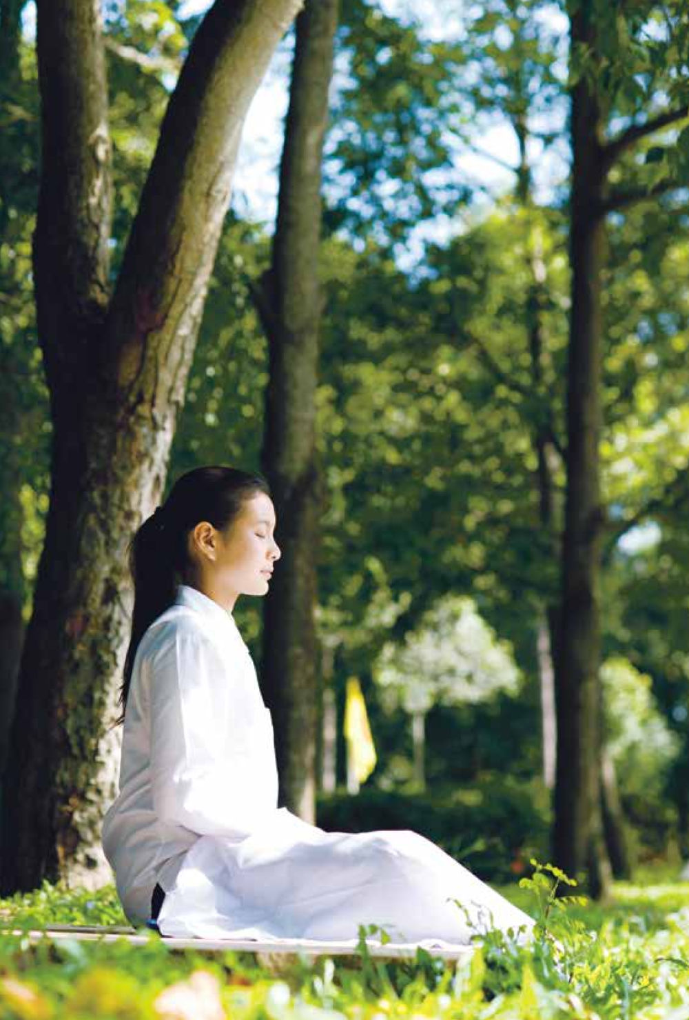 null สิ่งที่ต้องแสวงหา คือ พระรัตนตรัยภายใน เล่ม 2  หน้า 219