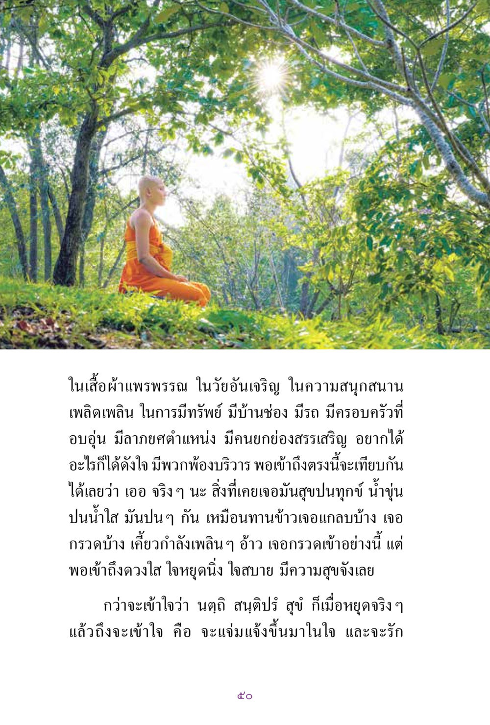 การเข้าใจความสุขในชีวิต สิ่งที่ต้องแสวงหา คือ พระรัตนตรัยภายใน เล่ม 2  หน้า 51